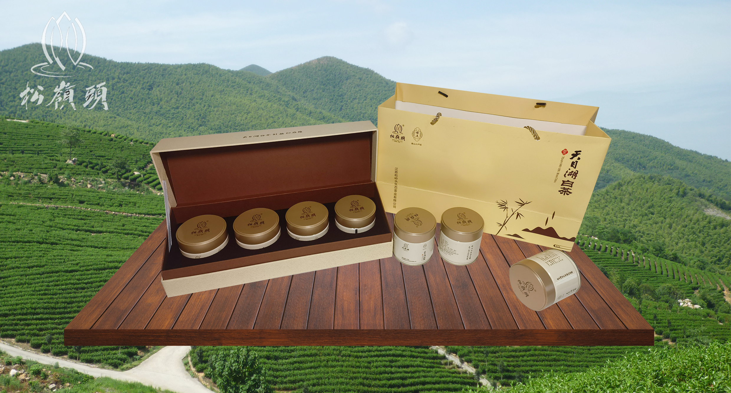 溧陽(yáng)白茶-悟道